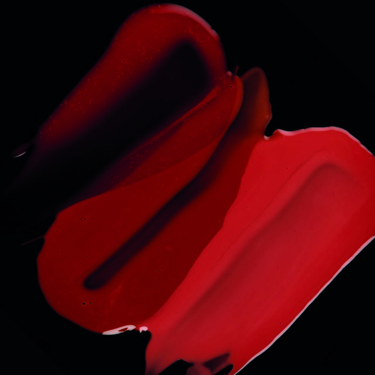 KIT FRAN GLOSSLICIOUS BY FRANCINY EHLKE